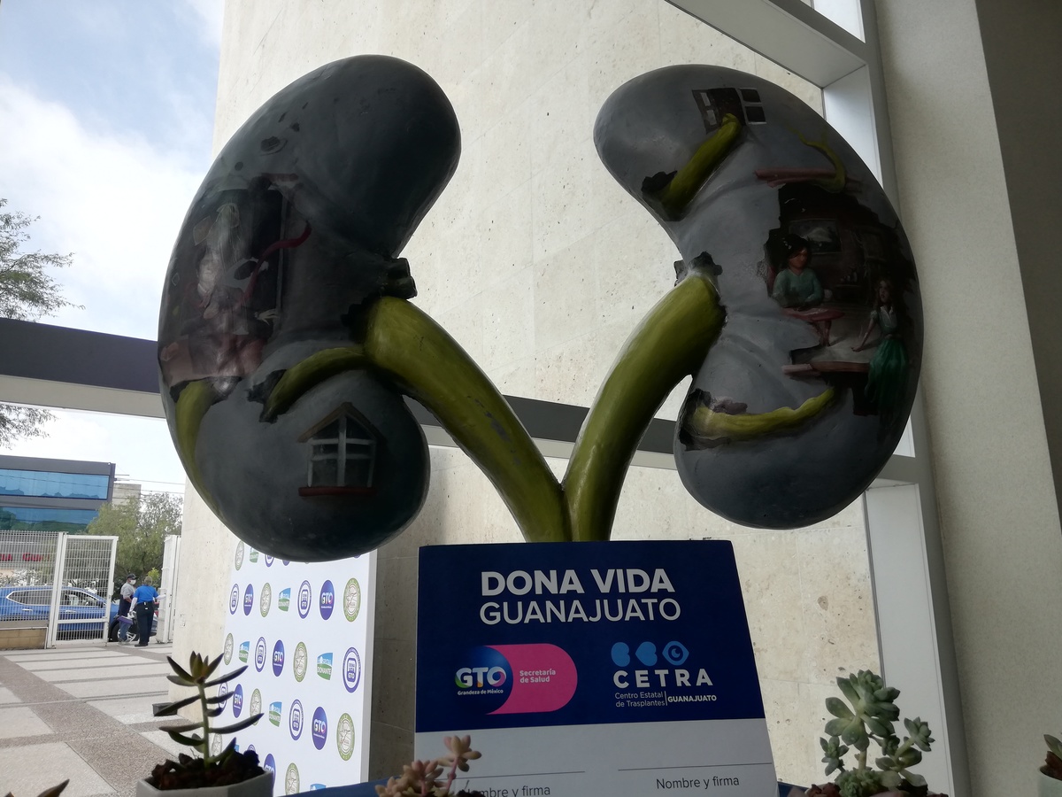 Día Nacional del Trasplante de Órganos y Tejidos. Foto: Dany Béjar