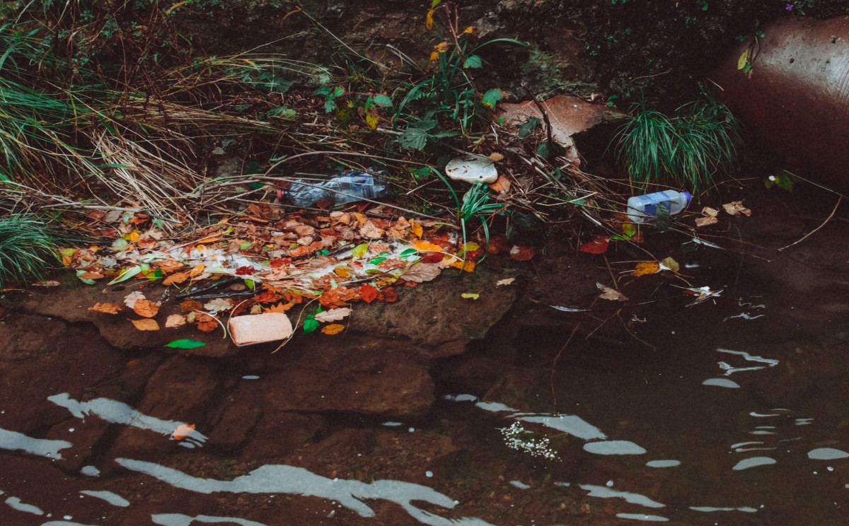 Contaminación: Incluso ya presentaron un proyecto para sanear el cuerpo de agua. | Pexels