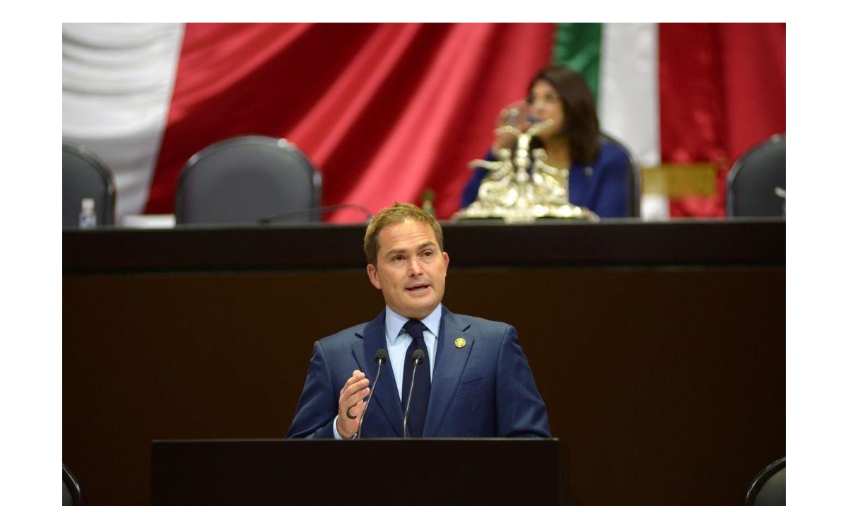 Javier López Casarín, diputado del PVEM, aseguró que el gobierno de AMLO cumple responsabilidades globales (Especial)