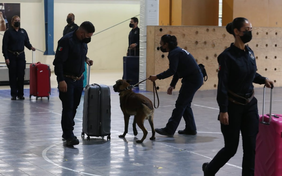 Aduanas perros. Foto: Octavio Hoyos