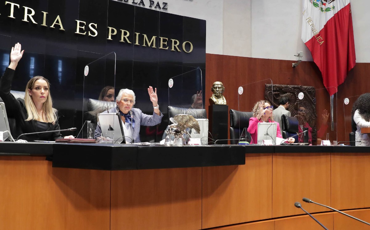 Sánchez Cordero declaró la existencia de una vacante en el cargo de senador  por la ausencia de propietario y suplente. | Especial
