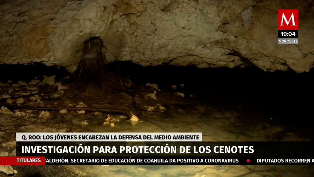 Niños y jóvenes de Quintana Roo buscan rescatar ecosistemas