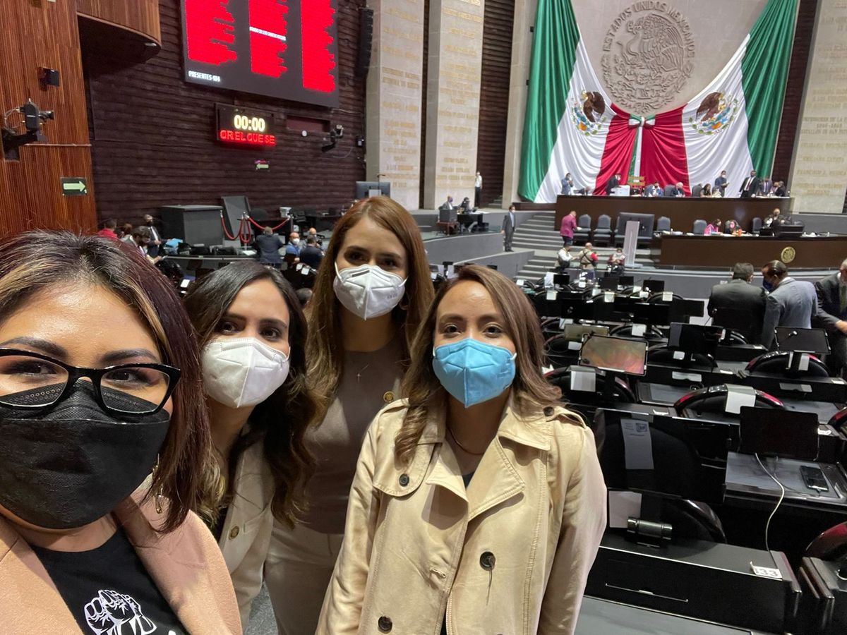 Genoveva Huerta Villegas solicitó licencia como diputada federal | Especial