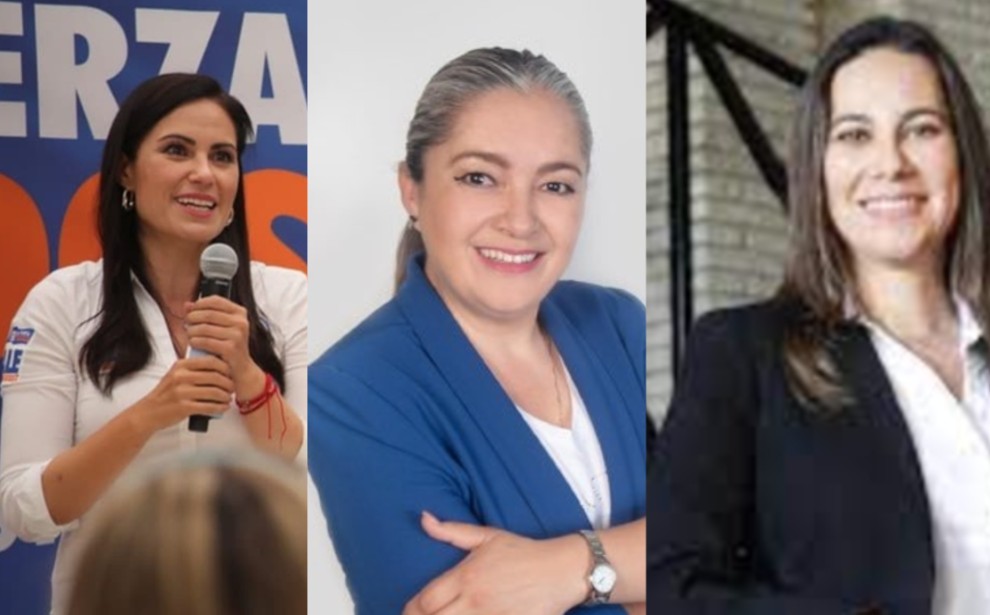 De las 14 alcaldesas electas en Guanajuato, nueve fueron por el Partido Acción Nacional.