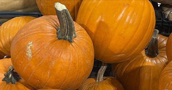 Calabazas