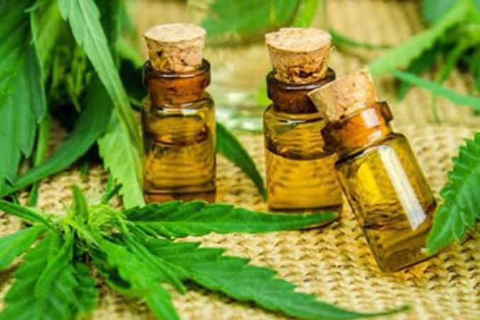 La mariguana medicinal ya se ha aprobado para su uso legal en México. (Especial)
