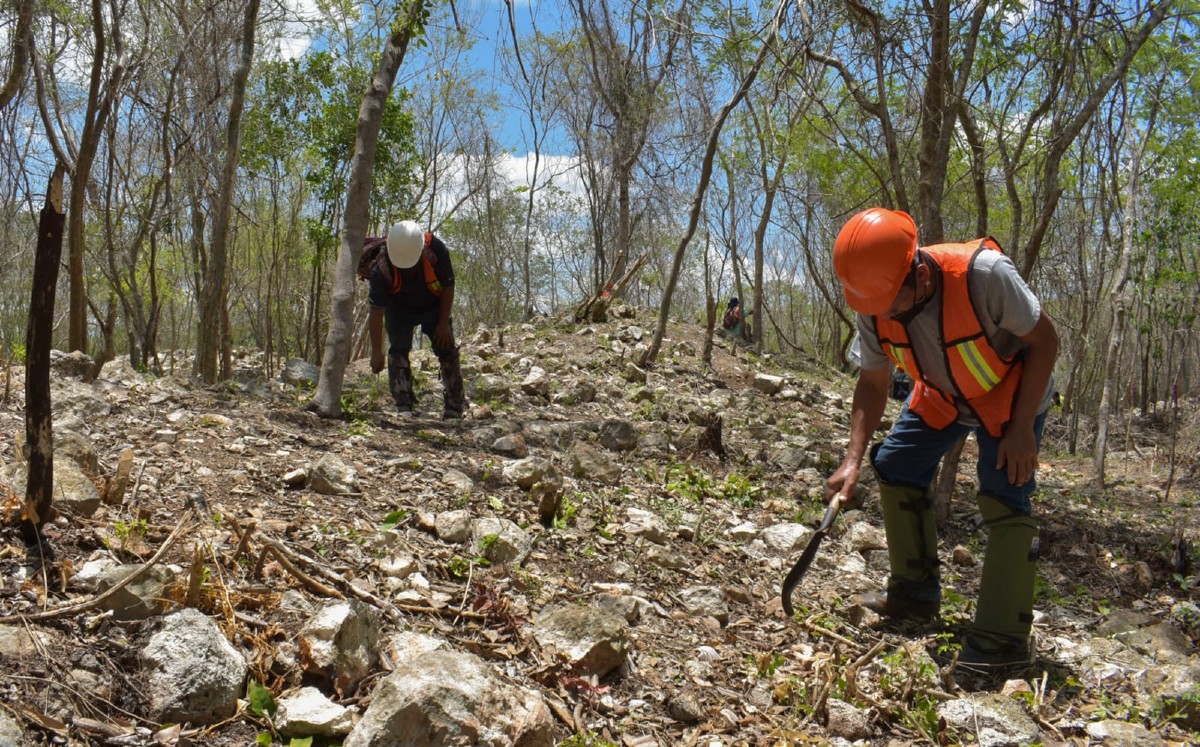 Monumentos descubiertos gracias al Tren Maya