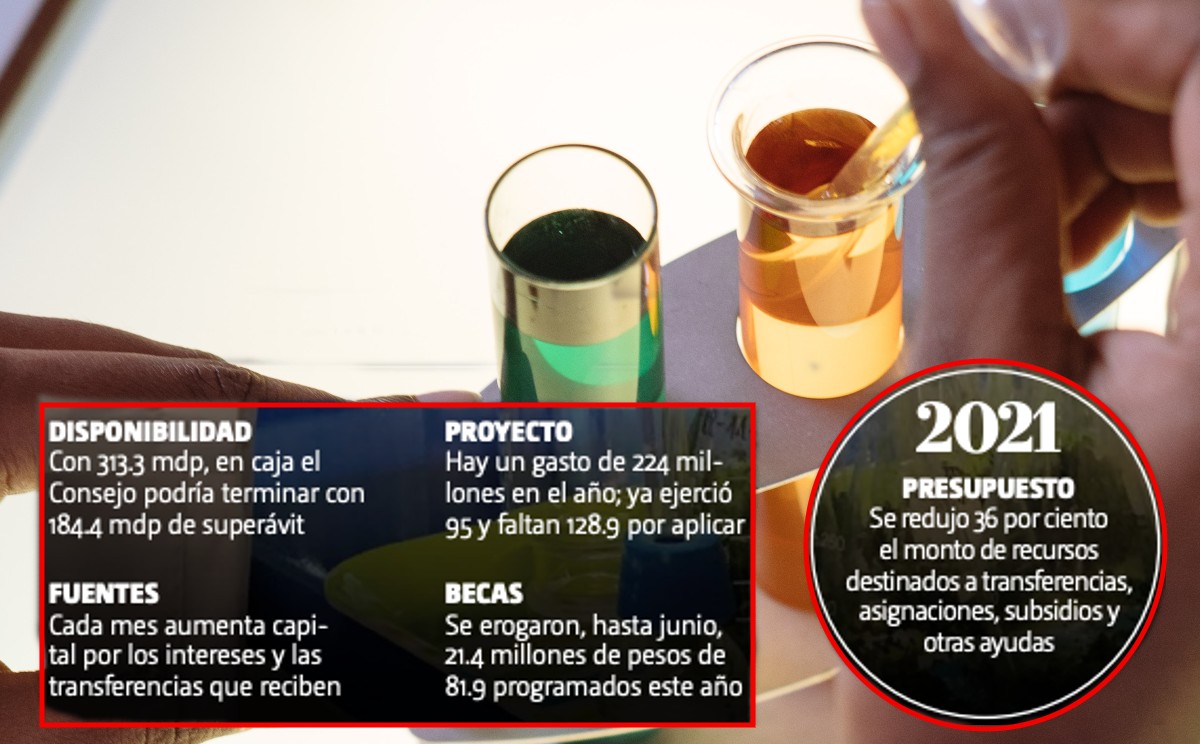 Las universidades han incrementado su número de investigadores e investigadoras en el Estado de México.