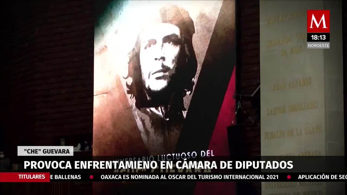 "Che Guevara" desata polémica en la Cámara de Diputados