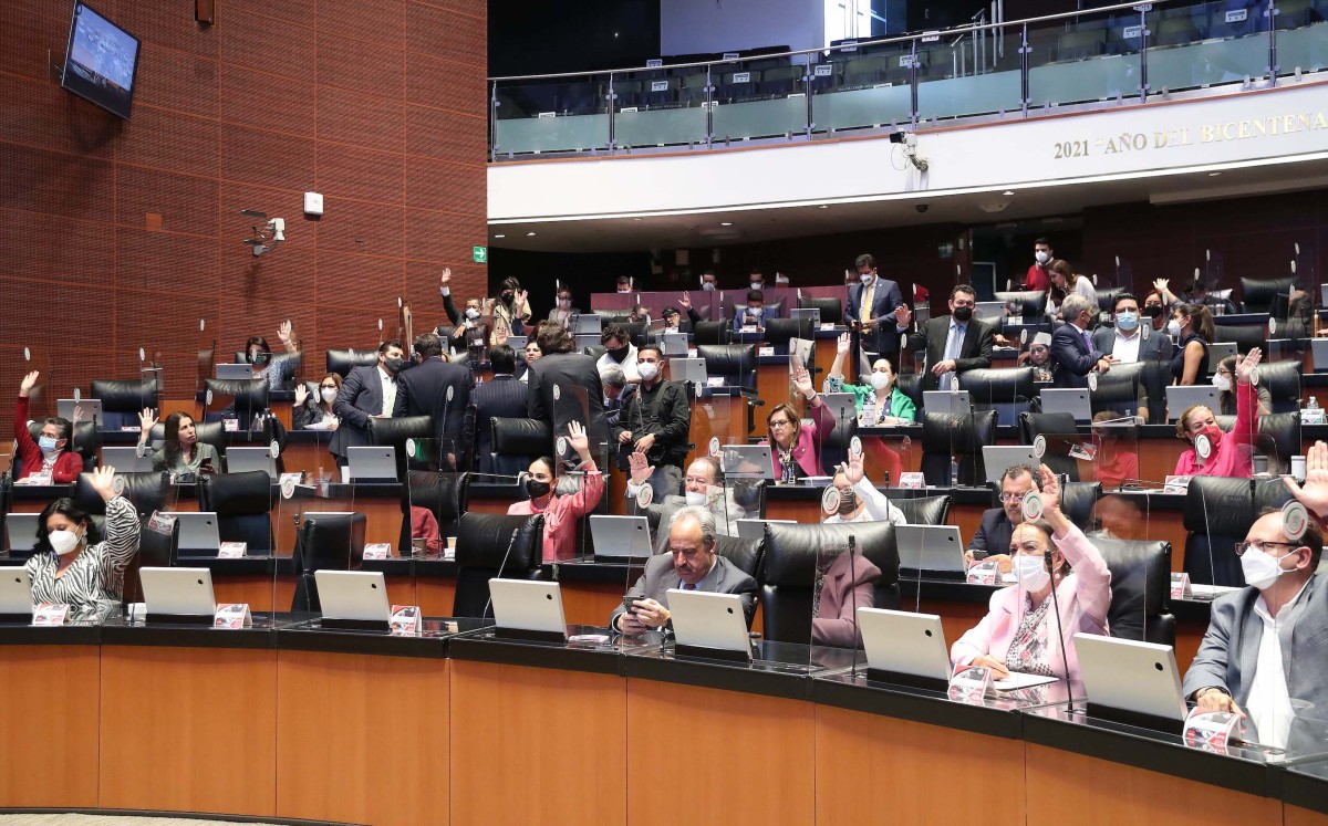 El dictamen destaca que la Junta de Coordinación Política integró un grupo especial de trabajo. | Especial