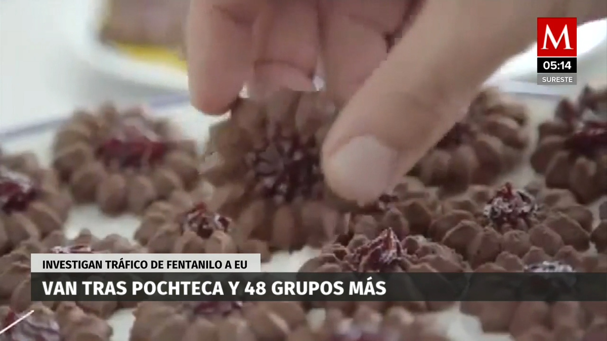 Por narco, UIF y EU van por 49 grupos para cortar flujo de fentanilo