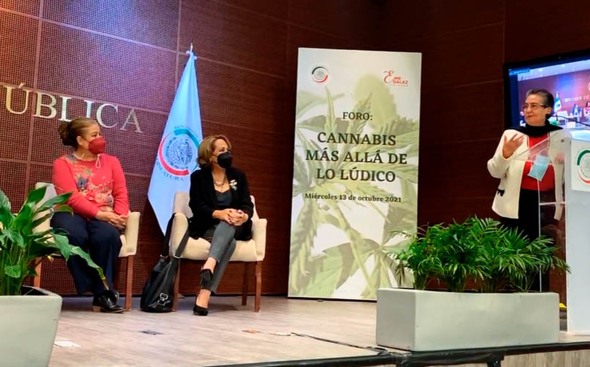 Expertos destacaron que el clima de México ayuda a la producción de la mariguana. | Especial