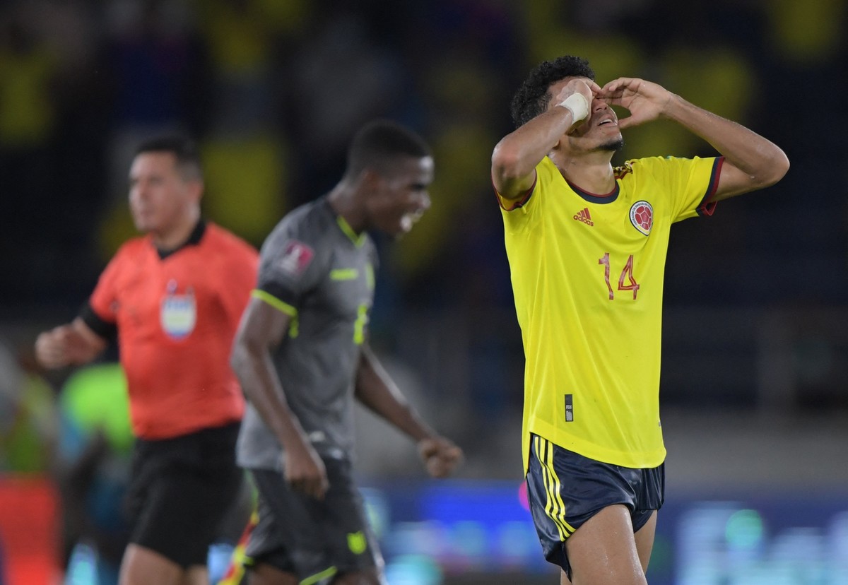 Colombia vs Ecuador (AFP)