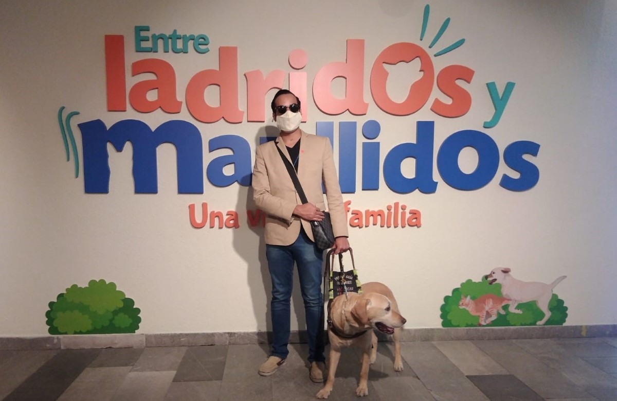 La exposición busca concientizar sobre la adopción de mascotas. | Alejandra Zarate