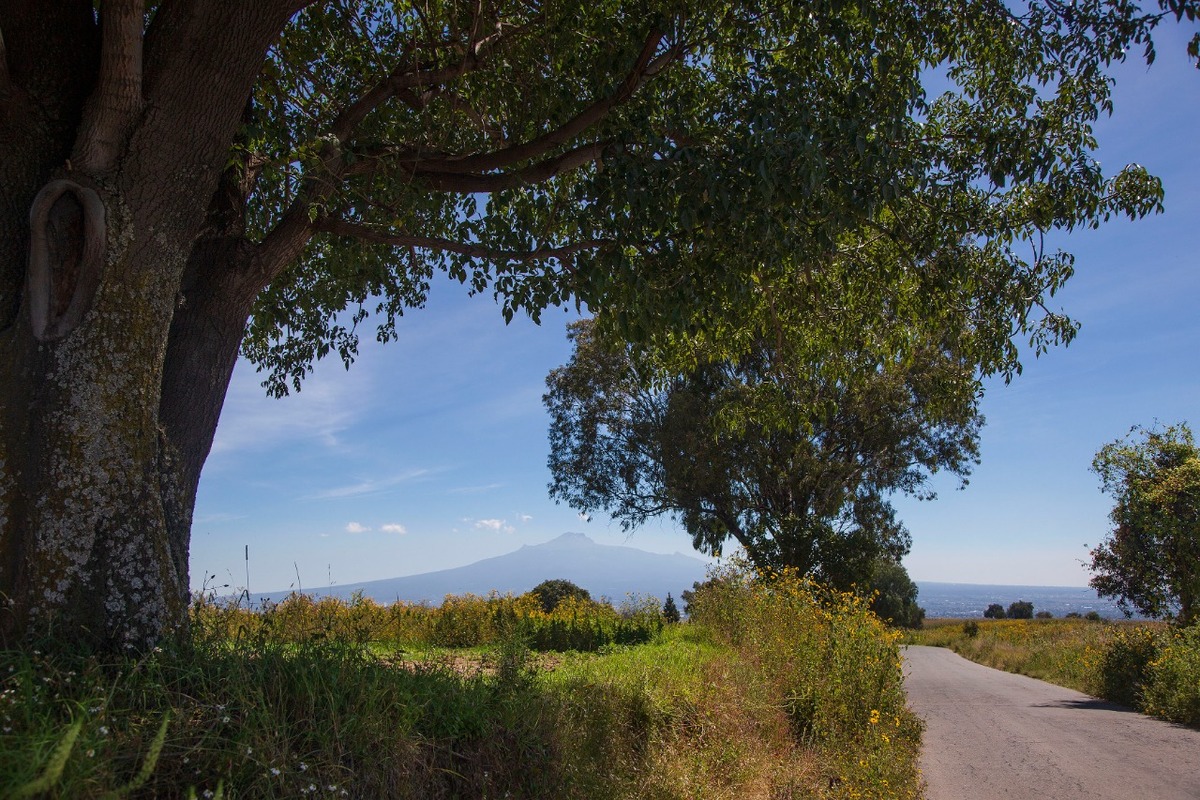 Al fondo, la Malintzi, el Popocatépetl y otros cerros y montañas, se pierden en el horizonte | Andrés Lobato