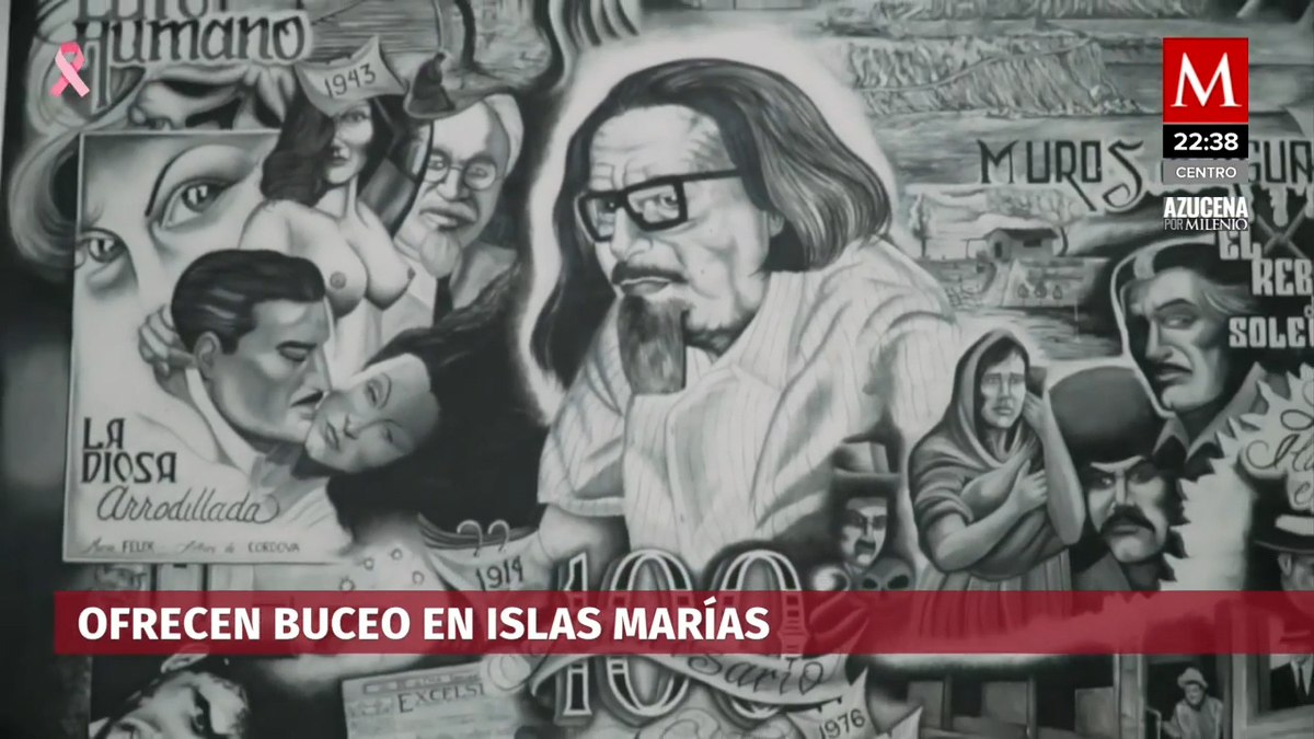 Islas Marías. Aprovechan falta de vigilancia y ofrecen buceo