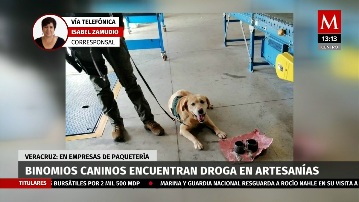 Binomios cainios encuentran droga en artesanías