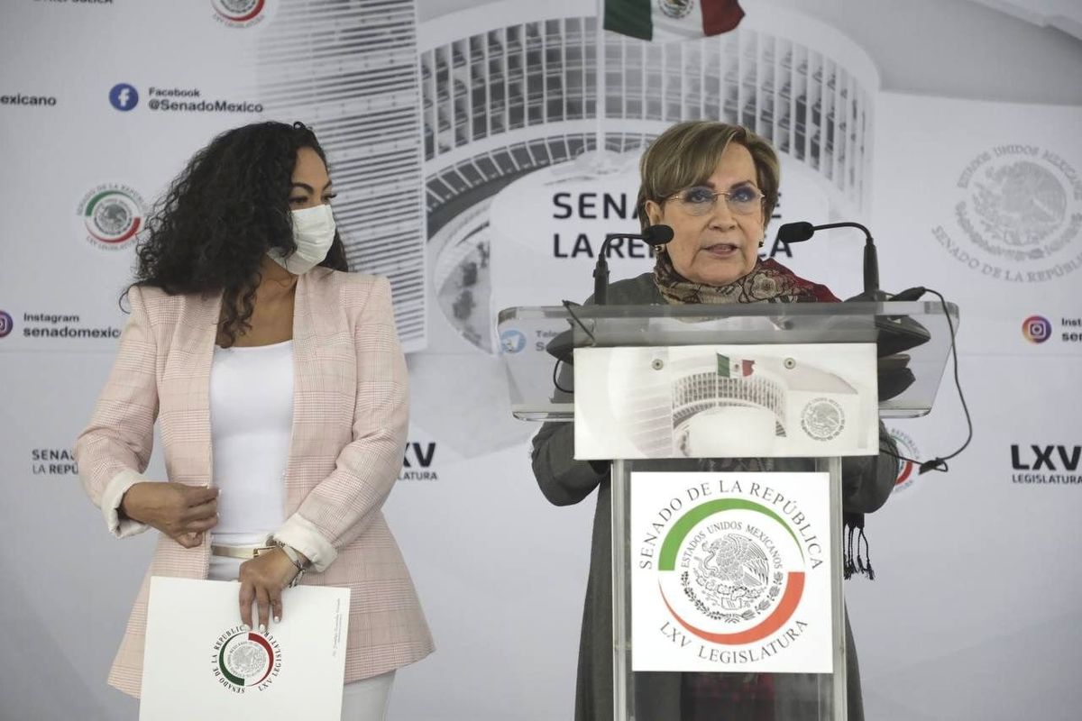 La senadora aseguró que el proyecto no busca el bienestar del pueblo, sino las ganancias de cúpulas empresariales