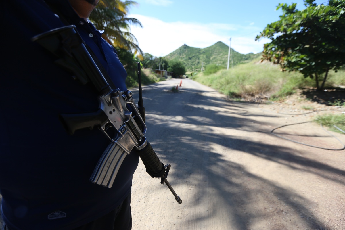 Los enfrentamientos entre el CJNG y las autodefensas hacen peligrar las cosechas en Tepalcatepec, Michoacán. (Jorge Carballo)