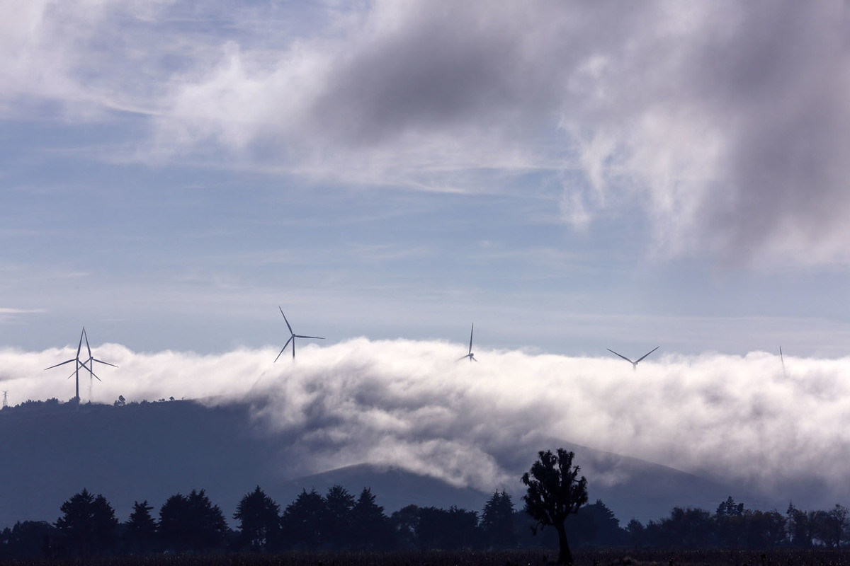 Parque de energía eólica. (Andrés Lobato)