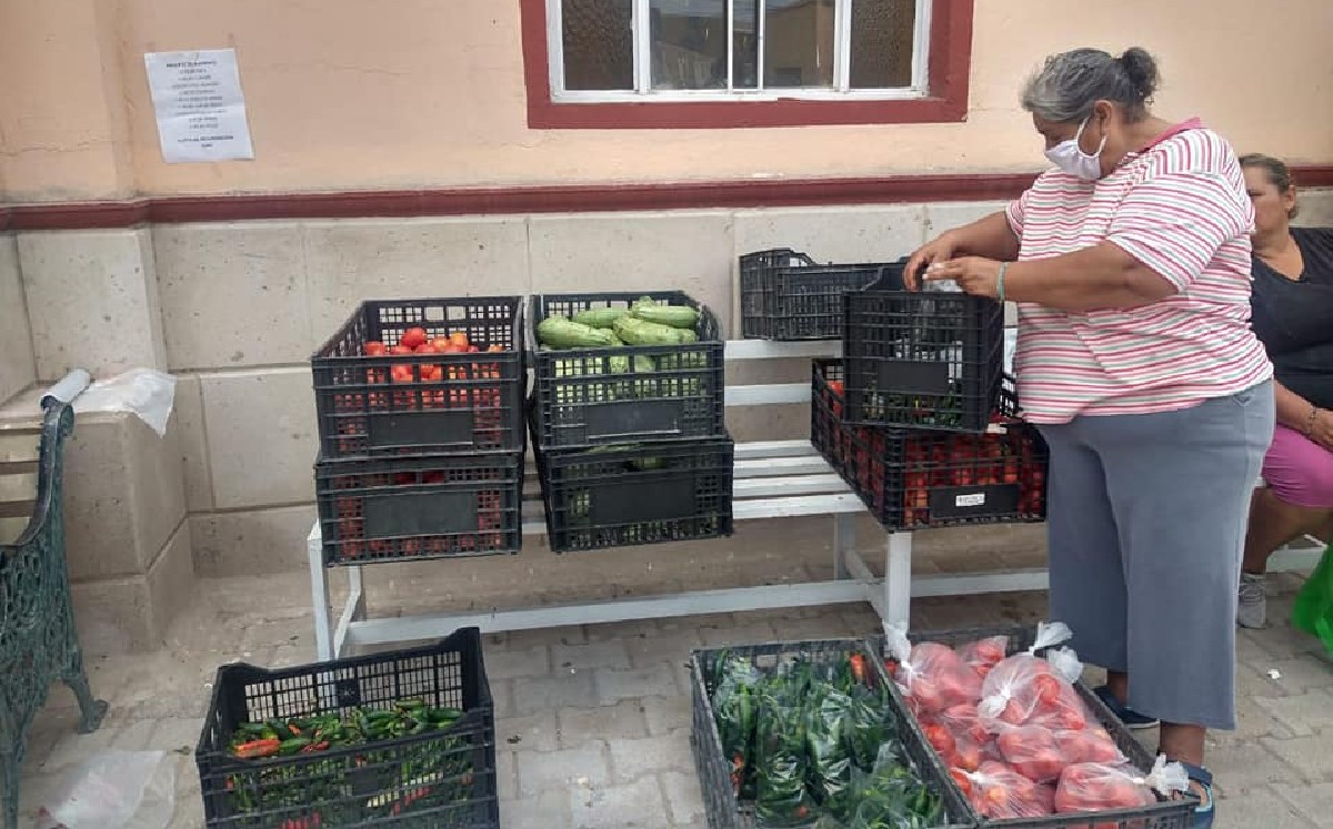 Este sábado 16 de octubre se conmemora el Día mundial de la alimentación. (Cortesía)