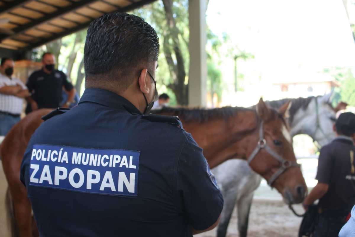 Donan yeguas para la policía Montada y Forestal de Zapopan (Juan Carlos Munguía)
