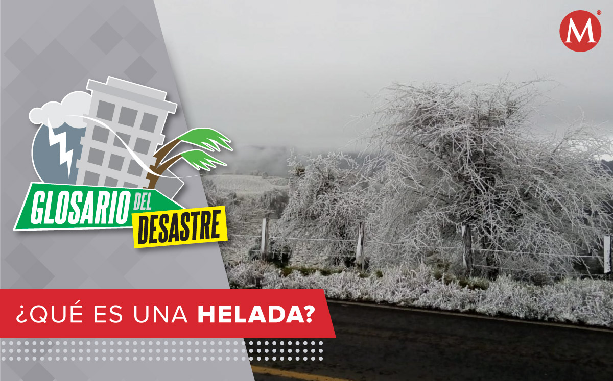 Las heladas se presentan en las noches de invierno. (Cuartoscuro)