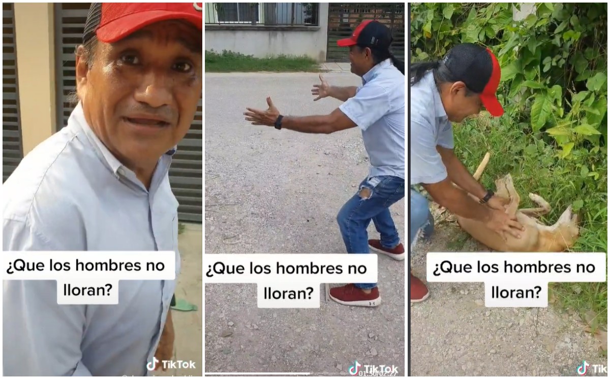 Hombre llora al reencontrarse con su perrita después de 2 años (Captura).