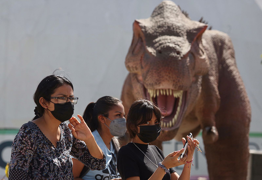 La exposición está integrada por reconstrucciones óseas de especies de dinosaurios. | Ariel Ojeda