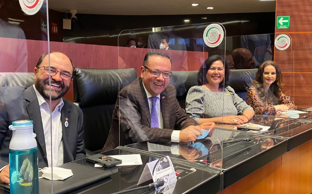 Martínez expuso que hay plena disposición para reunirse con Nahle y Bartlett para aclarar dudas de la reforma. | Twitter