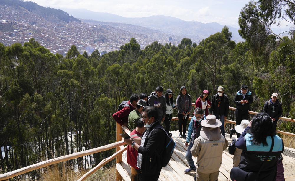 Visitantes en el bosque de eucalipto en Bolivia. Foto: AP