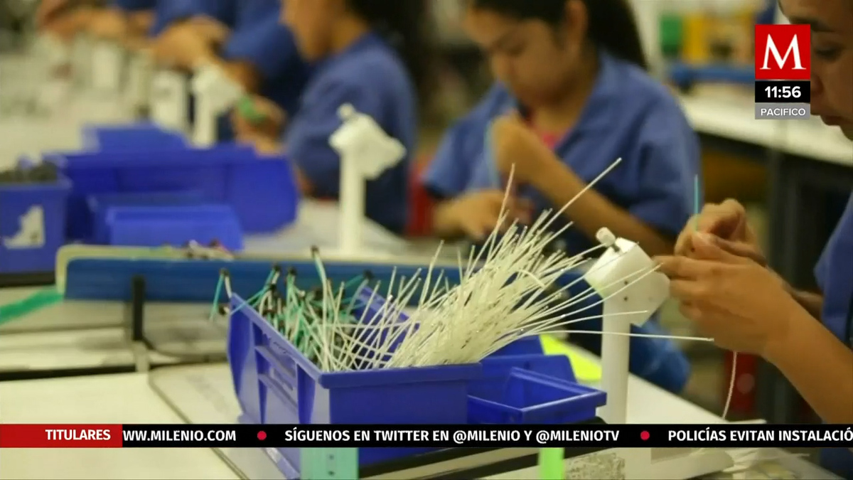 Actividad económica aumentó 5% anual en septiembre, estima Inegi