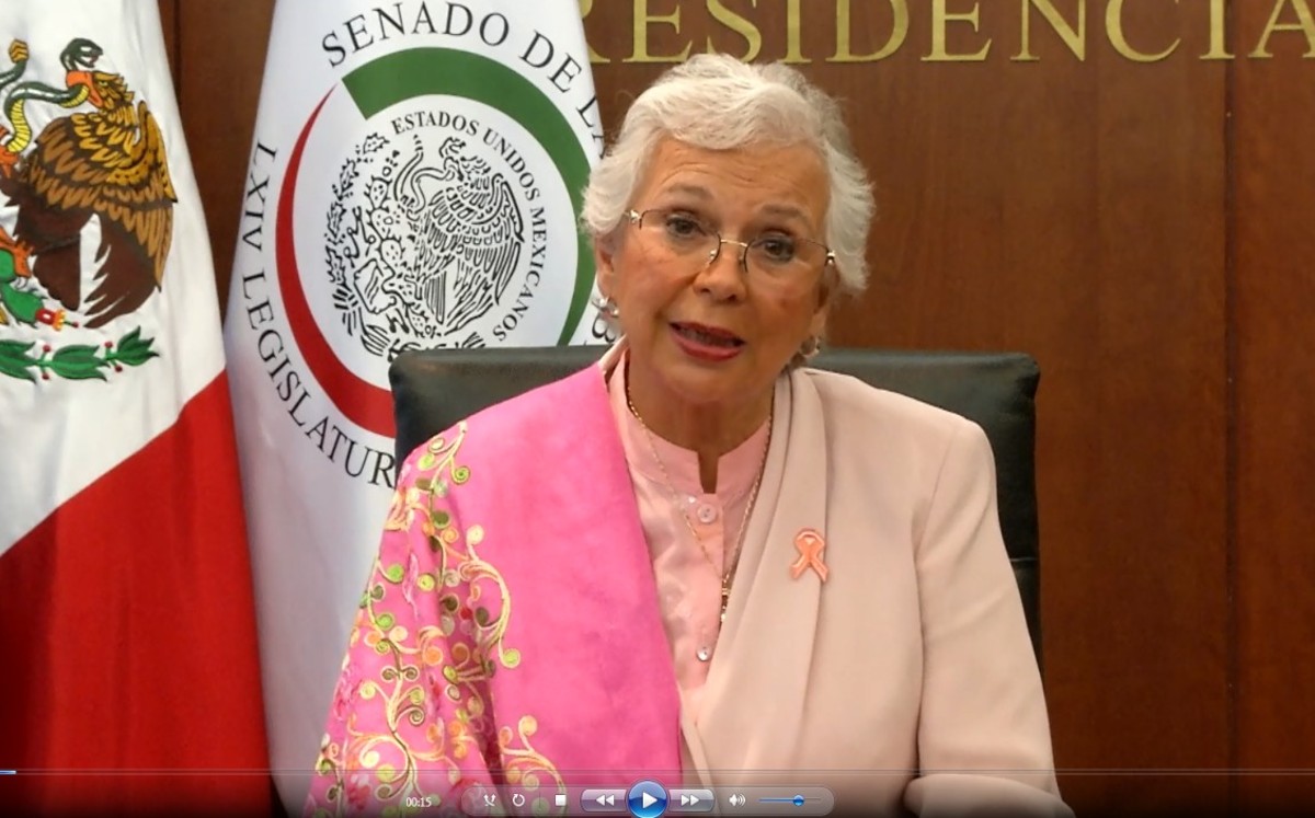 Las infancias ya no son objeto de tutela, sino son sujetos de derechos, puntualizó la senadora. | Especial