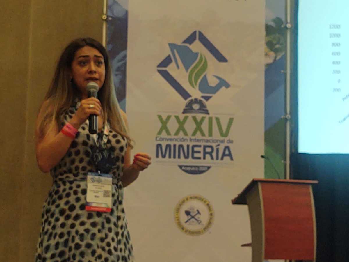 Karen Flores, directora de la Cámara Minera de México. (Luis Carlos Valdés)