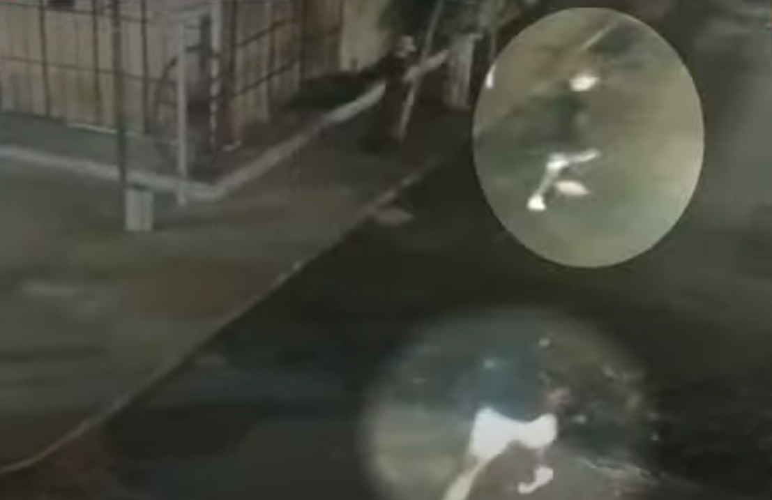 Las dos personas salieron corriendo luego de disparar. (Captura)