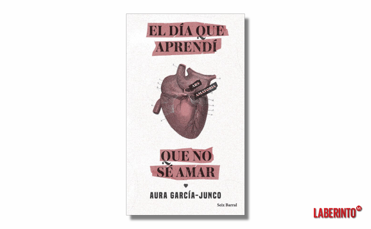 Portada de 'El día que aprendí que no sé amar', de Aura García-Junco. (Seix Barral)