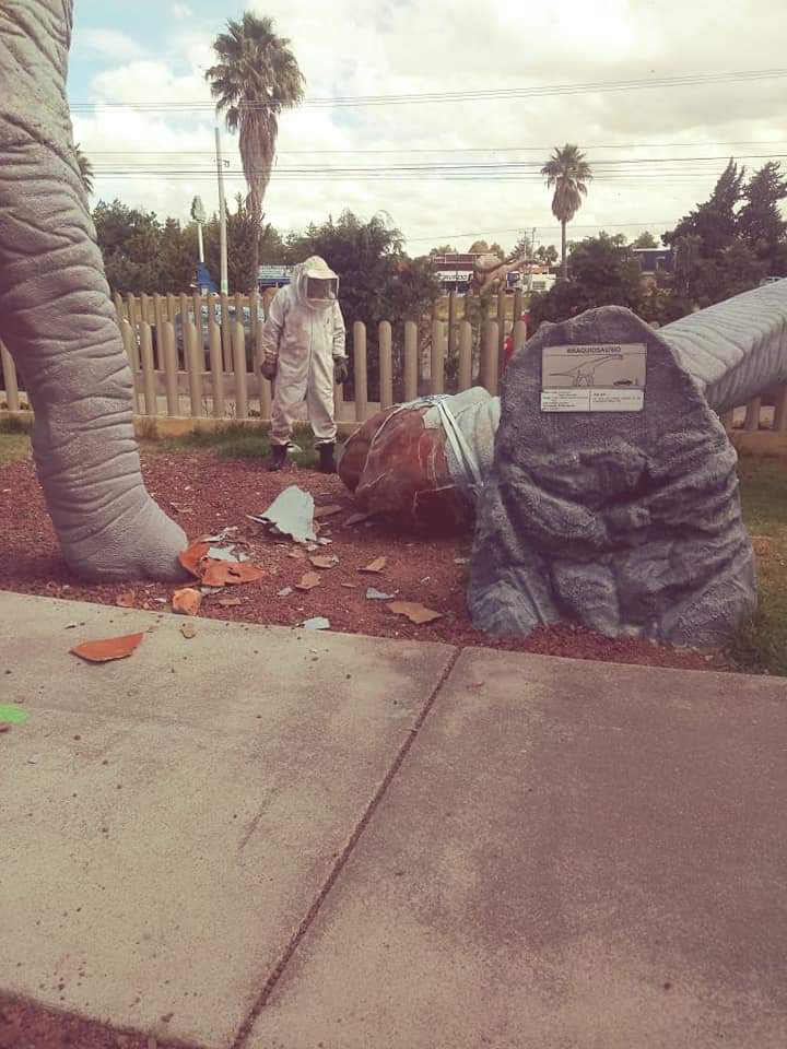 Bomberos de la SSPH acudieron al dinoparque de Pachuca ante la emergencia. (Especial)