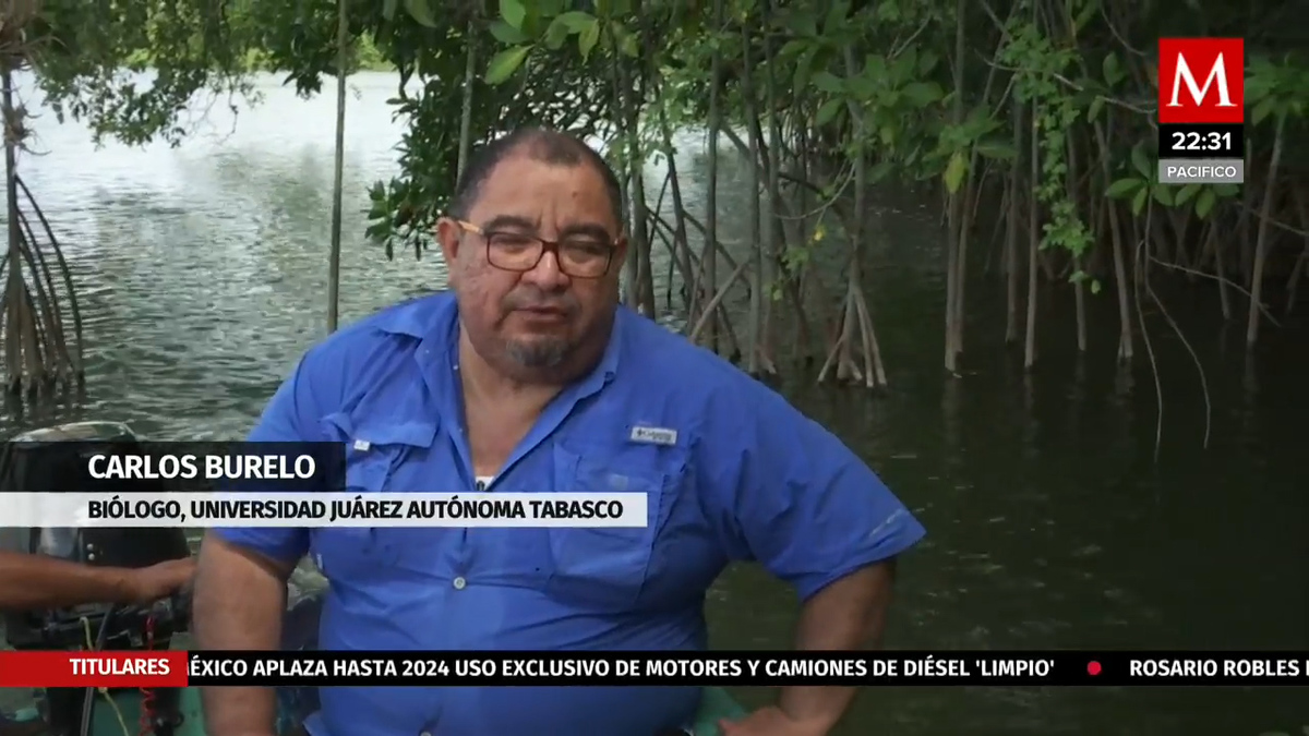 Se descubrió un ecosistema con más de 125 mil años de antigüedad en Tabasco