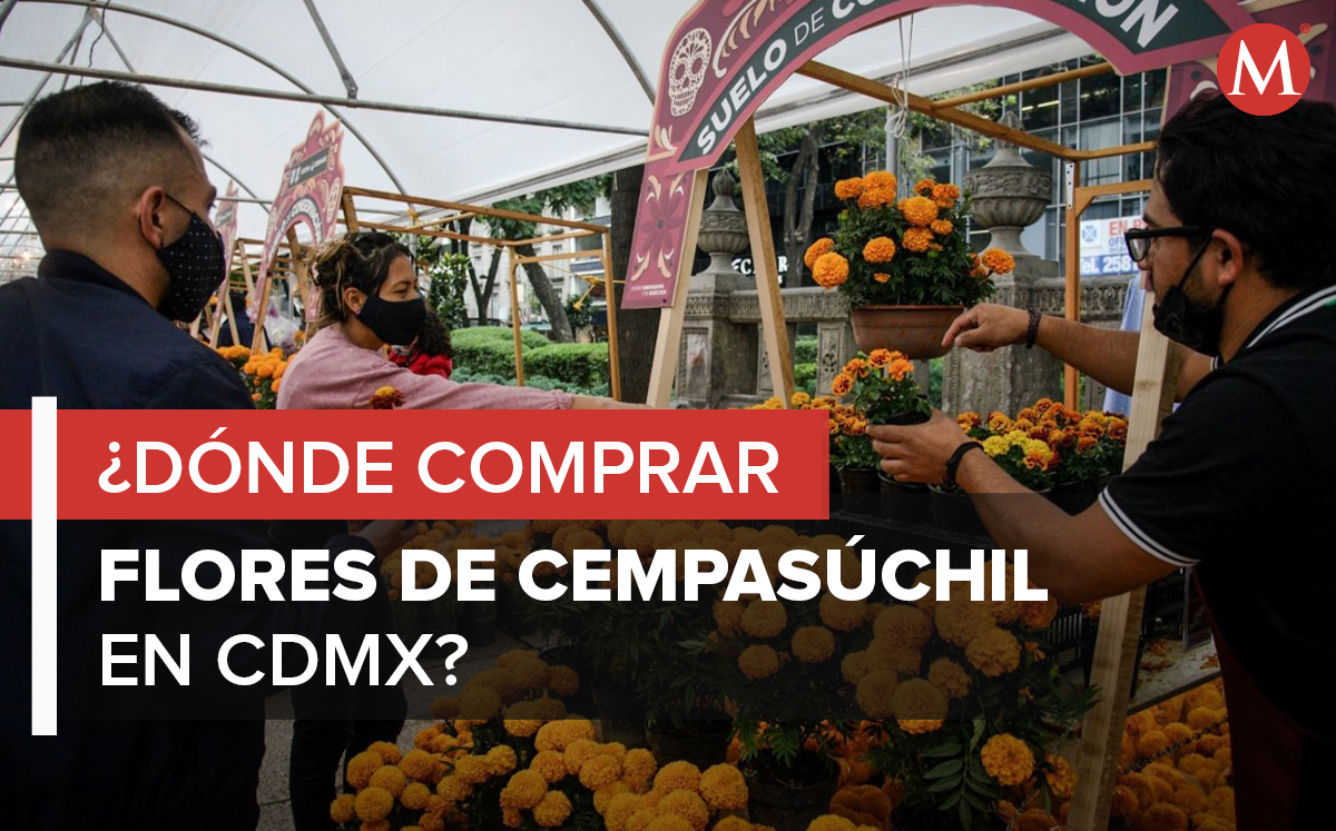 Las flores de cempasúchil se venderán en mercados, plazas y parques. | Milenio