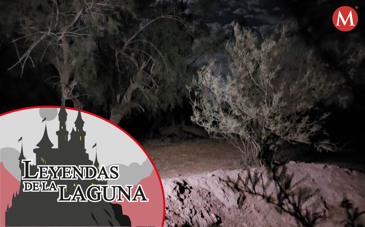 Un lugar llamada "Palmira" donde algún día hubo construcciones. (Especial)