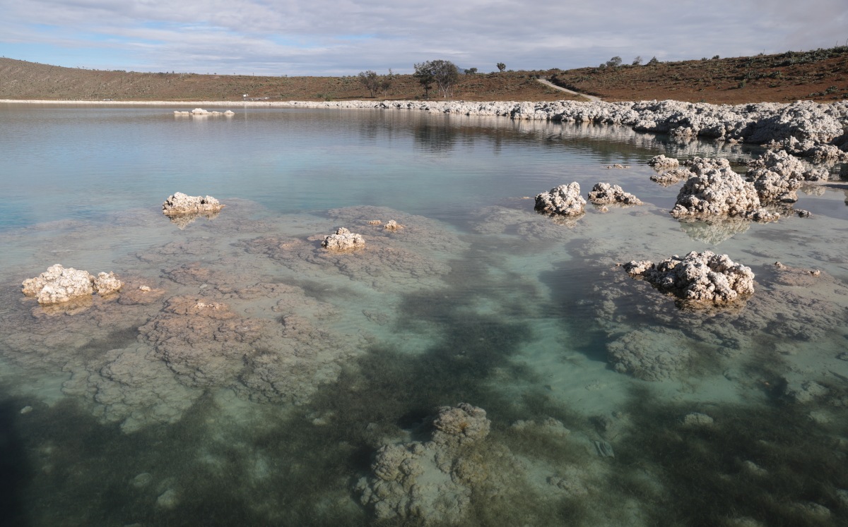Aspectos de la Laguna de Alchichica | Especial