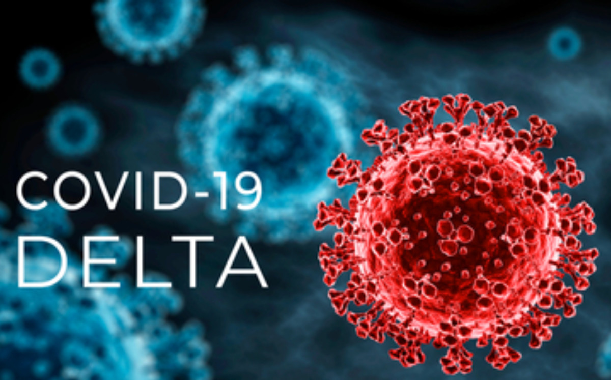 Así se ve la cepa Delta del coronavirus en un microscopio. (Especial)