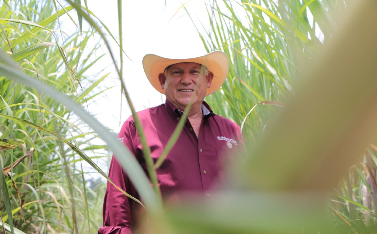 Víctor Manuel Villalobos, secretario de Agricultura, en su vivita a un cultivó de caña de azúcar. (Cuartoscuro)