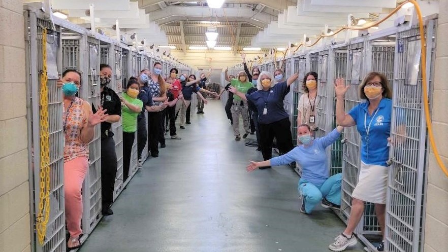 Por primera vez en su historia, este refugio de animales dio en adopción a todas sus mascotas. Foto: Facebook Palm Beach County Animal Care and Contro