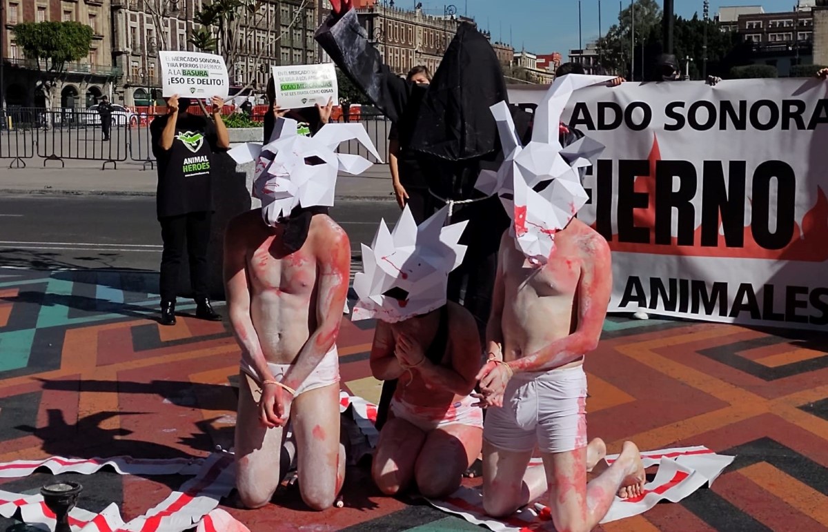 Los activistas exigieron que se prohíba la venta de animlaes en Mercado de Sonora. | César Velázquez