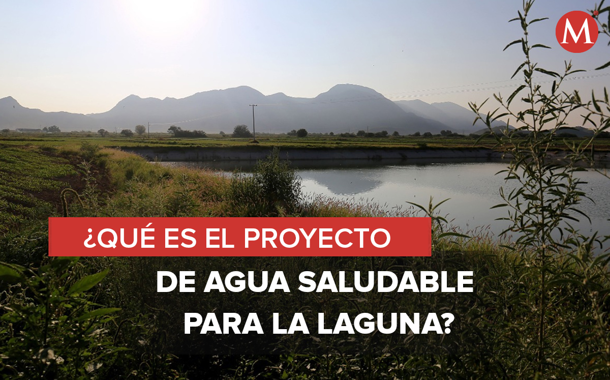 Agua Saludable para La Laguna. (Notivox Diseño)