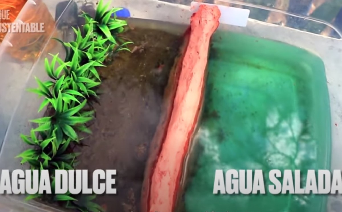 Estudiantes crean proyecto para dique El Camalote. (Especial)