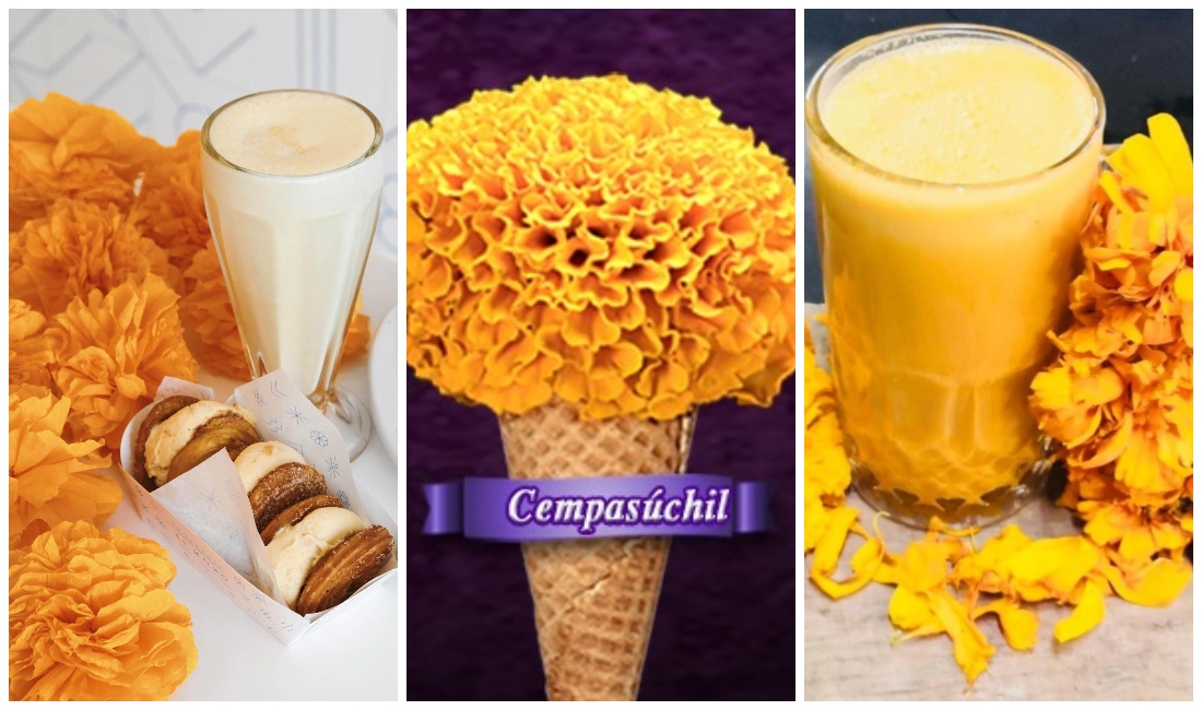 La flor de cempasúchil también es utilizada para crear pulque (Especial).