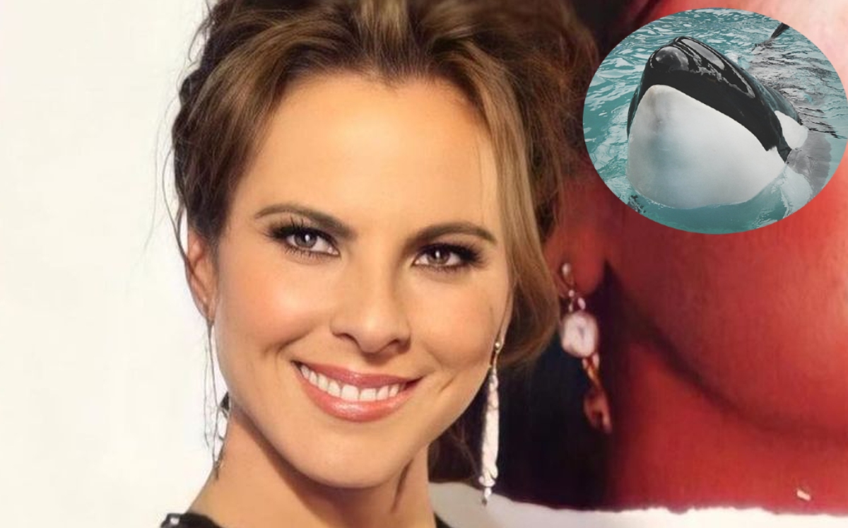 Kate del Castillo mandó la carta a un empresario (Especial).