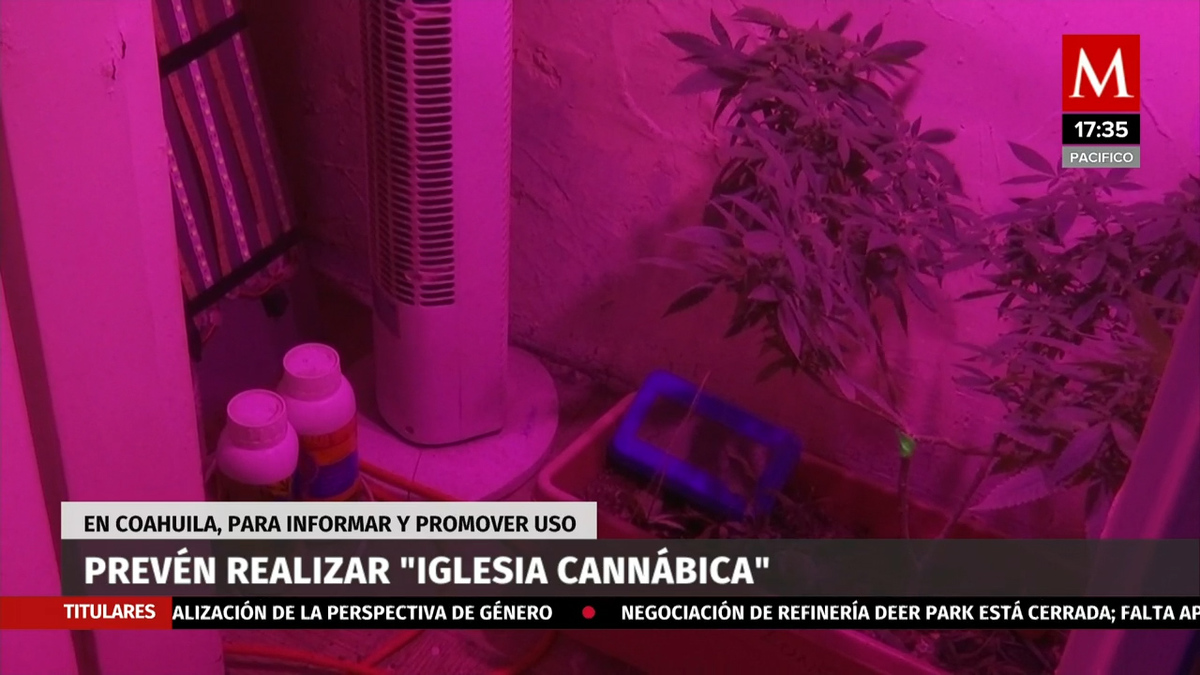 Prevén realizar "iglesia cannábica" en Coahuila
